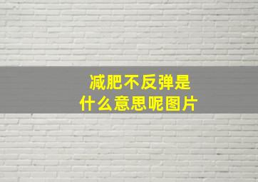 减肥不反弹是什么意思呢图片