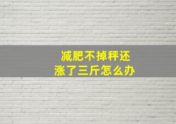 减肥不掉秤还涨了三斤怎么办