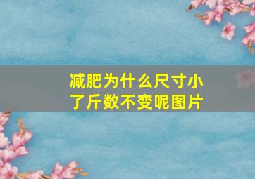 减肥为什么尺寸小了斤数不变呢图片