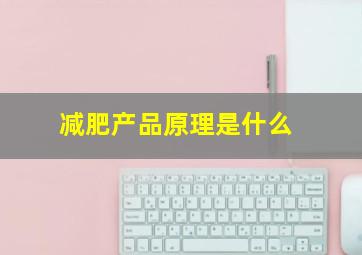 减肥产品原理是什么