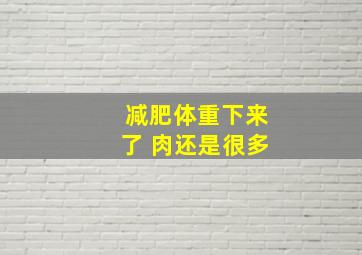 减肥体重下来了 肉还是很多