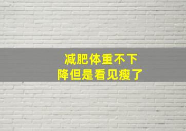 减肥体重不下降但是看见瘦了