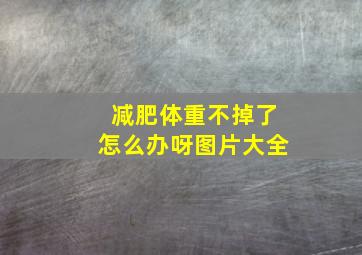 减肥体重不掉了怎么办呀图片大全