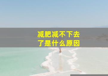 减肥减不下去了是什么原因