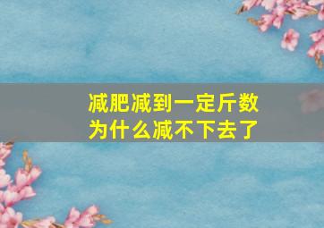 减肥减到一定斤数为什么减不下去了