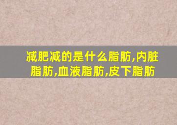 减肥减的是什么脂肪,内脏脂肪,血液脂肪,皮下脂肪