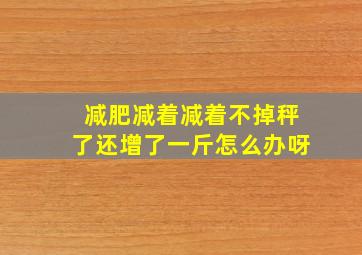 减肥减着减着不掉秤了还增了一斤怎么办呀