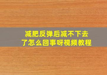 减肥反弹后减不下去了怎么回事呀视频教程