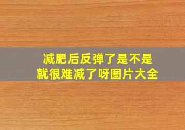 减肥后反弹了是不是就很难减了呀图片大全