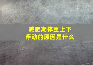 减肥期体重上下浮动的原因是什么