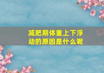 减肥期体重上下浮动的原因是什么呢