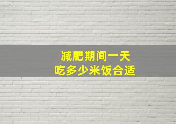 减肥期间一天吃多少米饭合适