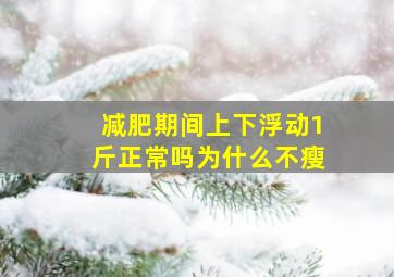 减肥期间上下浮动1斤正常吗为什么不瘦