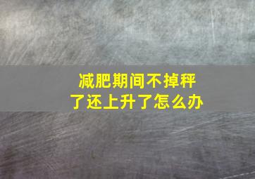 减肥期间不掉秤了还上升了怎么办