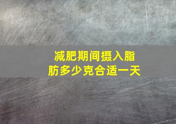 减肥期间摄入脂肪多少克合适一天