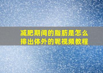 减肥期间的脂肪是怎么排出体外的呢视频教程