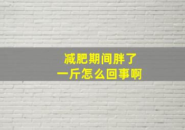 减肥期间胖了一斤怎么回事啊