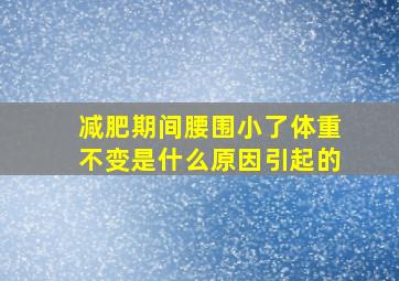 减肥期间腰围小了体重不变是什么原因引起的