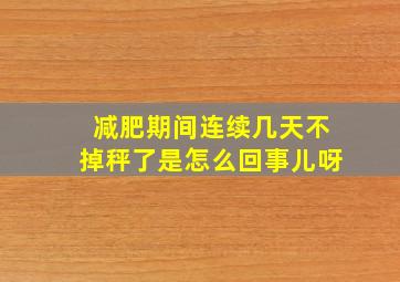 减肥期间连续几天不掉秤了是怎么回事儿呀