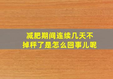 减肥期间连续几天不掉秤了是怎么回事儿呢