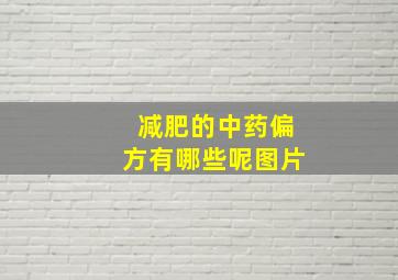 减肥的中药偏方有哪些呢图片