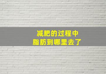 减肥的过程中脂肪到哪里去了