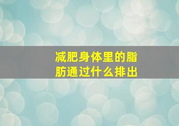 减肥身体里的脂肪通过什么排出