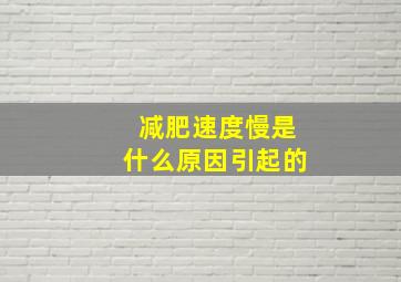 减肥速度慢是什么原因引起的