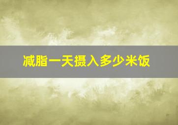 减脂一天摄入多少米饭