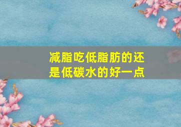 减脂吃低脂肪的还是低碳水的好一点