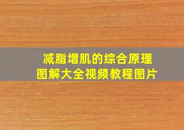 减脂增肌的综合原理图解大全视频教程图片