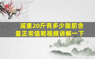 减重20斤有多少脂肪含量正常值呢视频讲解一下