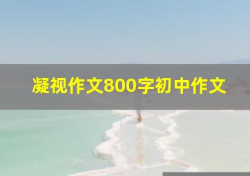 凝视作文800字初中作文