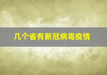 几个省有新冠病毒疫情