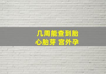 几周能查到胎心胎芽 宫外孕