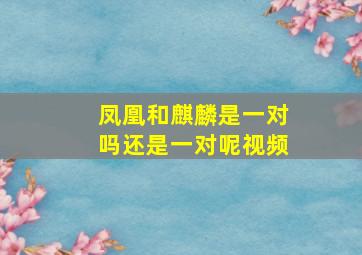 凤凰和麒麟是一对吗还是一对呢视频