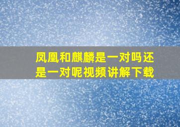 凤凰和麒麟是一对吗还是一对呢视频讲解下载