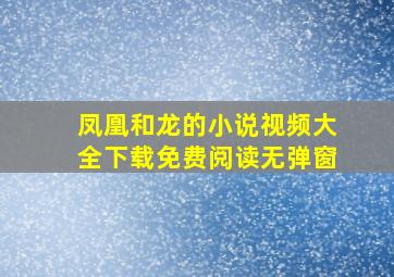 凤凰和龙的小说视频大全下载免费阅读无弹窗