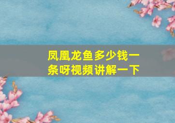 凤凰龙鱼多少钱一条呀视频讲解一下