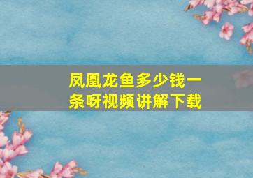 凤凰龙鱼多少钱一条呀视频讲解下载