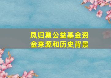 凤归巢公益基金资金来源和历史背景