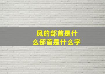 凤的部首是什么部首是什么字