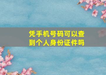 凭手机号码可以查到个人身份证件吗