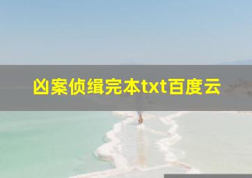 凶案侦缉完本txt百度云