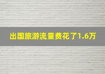 出国旅游流量费花了1.6万