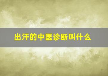 出汗的中医诊断叫什么