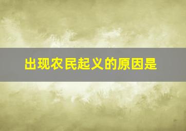 出现农民起义的原因是