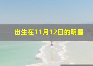 出生在11月12日的明星