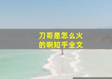 刀哥是怎么火的啊知乎全文