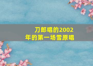 刀郎唱的2002年的第一场雪原唱